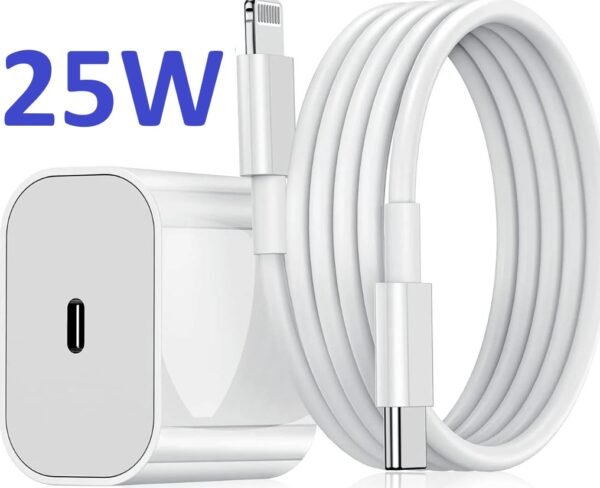 25W snabbladdare laddare med 2m  kabel